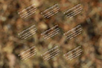 media/Apr-13-2025-Touge2Track (Sun) [[1b03265cc0]]/Pink group/Turn 4/